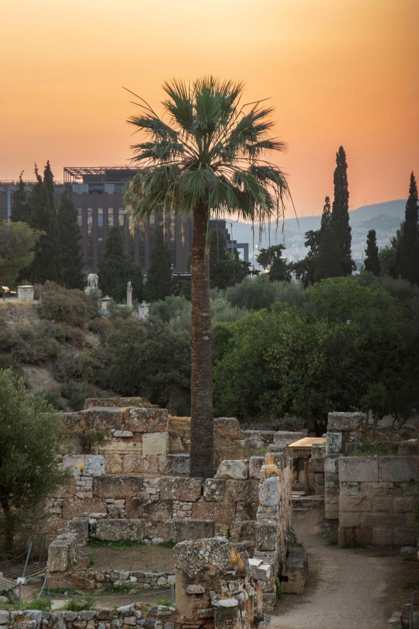 אתונה Acropolis View 2Br Apartment מראה חיצוני תמונה